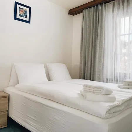 Roswitha Apartment Saas-Almagell